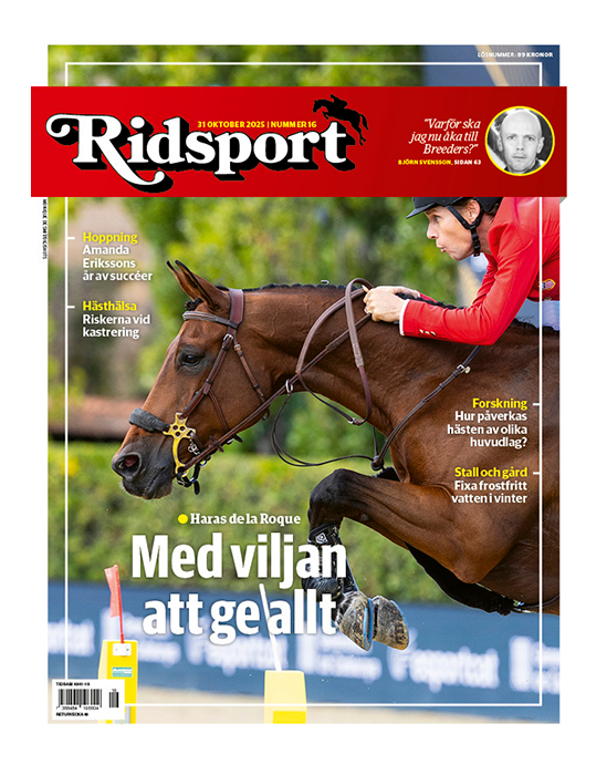 Ridsport nr 16/2025