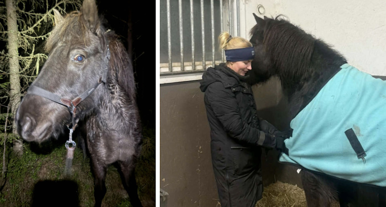 VM-medaljören skrämdes till skogs: ”En mardröm”