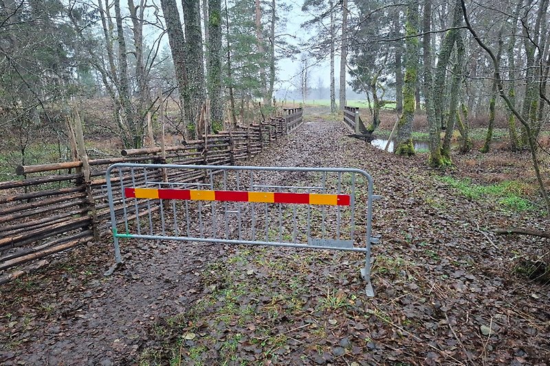 Häst trampade igenom bro – behövde veterinärvård