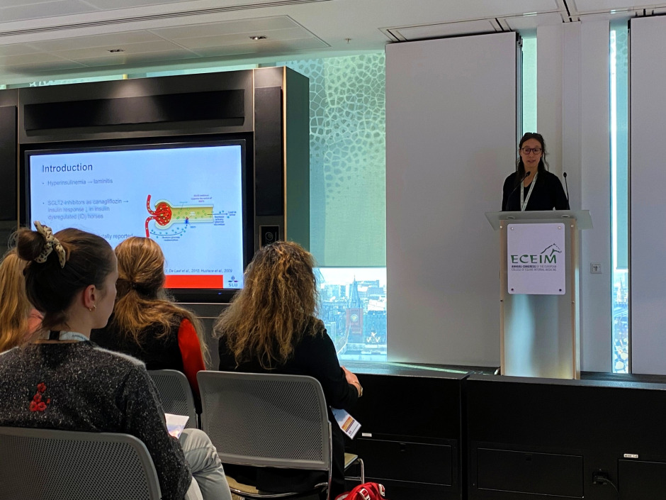 Veterinärbloggen: Forska som distriktsveterinär, går det?