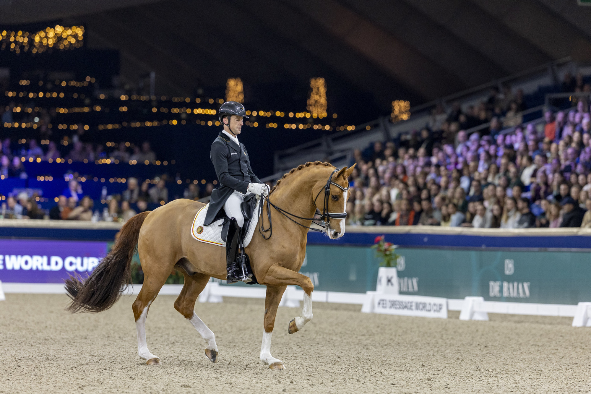 55011985538_a8dea58464_k