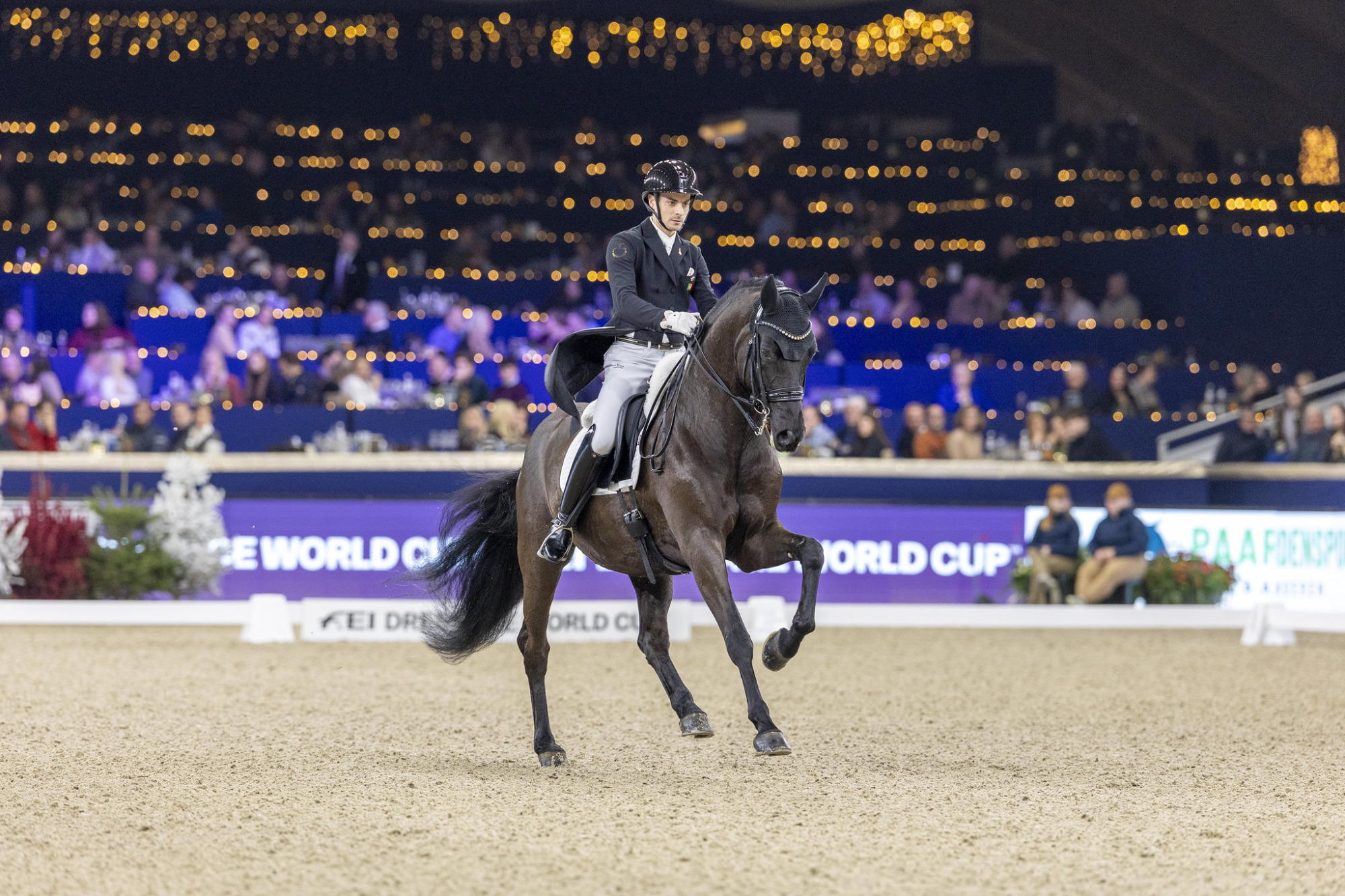 55011994808_ff72b5d4e7_k