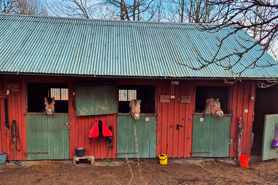 Små resurser, stort engagemang – så drivs Stall Uppåkra