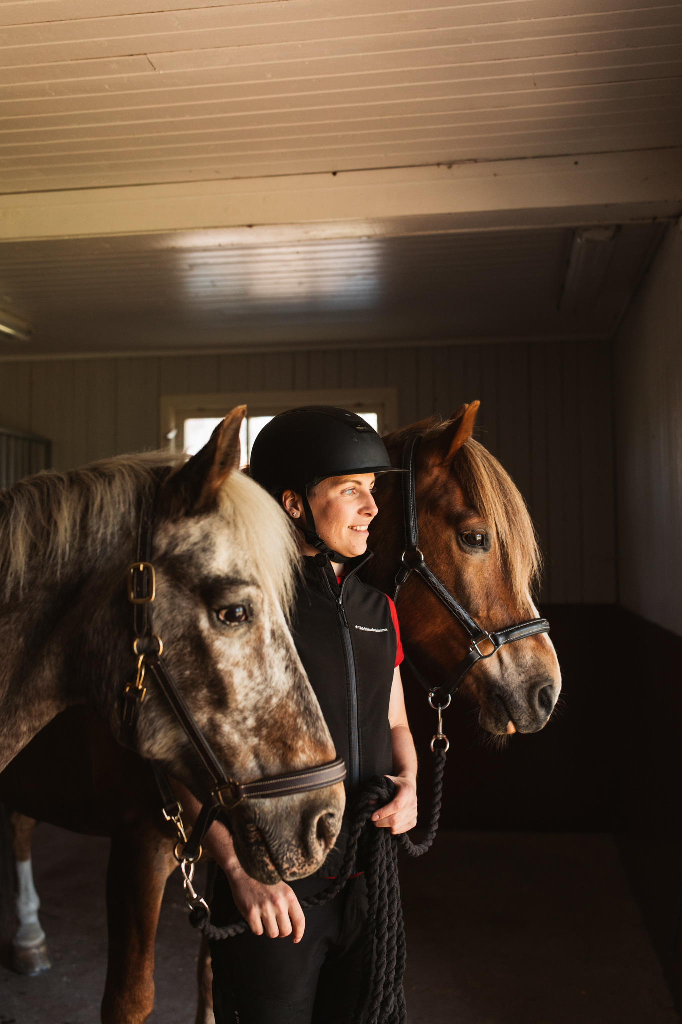 Distriktsveterin&auml;rerna