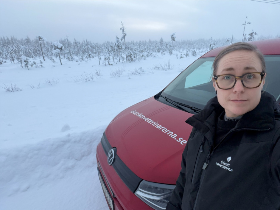 Veterinärbloggen: Veterinär vid 30 minusgrader