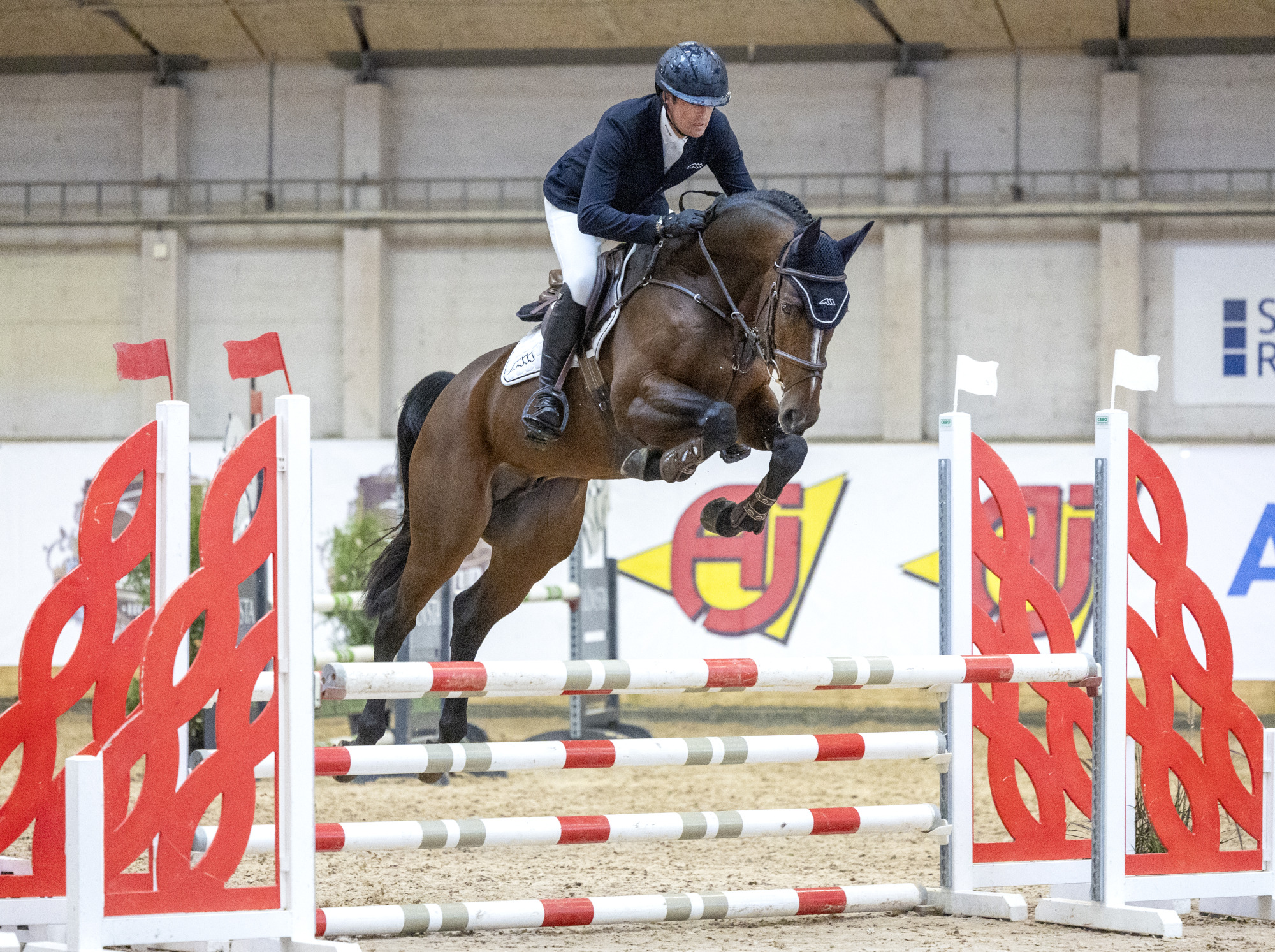 Aganix D&acute;amour -thomas Ryan-1 251004 Rt