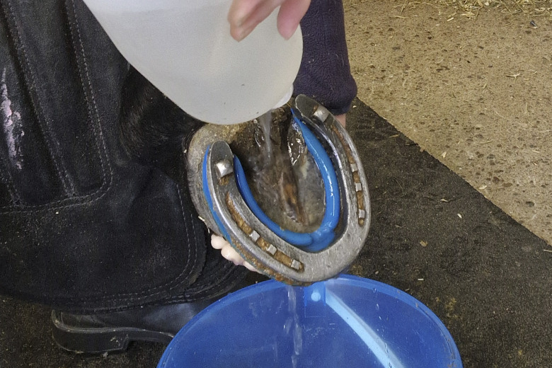 Hovslagarens råd: ”Diska hovarna varje dag”