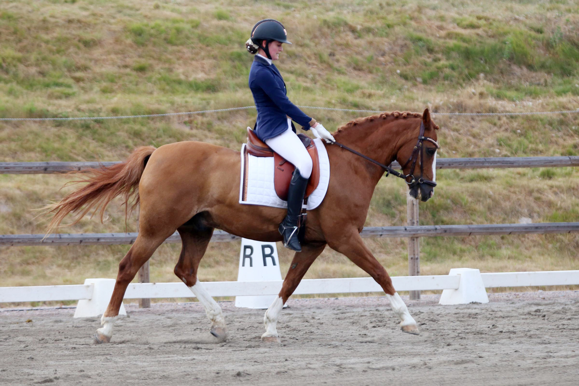 Gamla Ponnyn Smgavlejennyscwielerstaafoliviarutgerssonimg4752