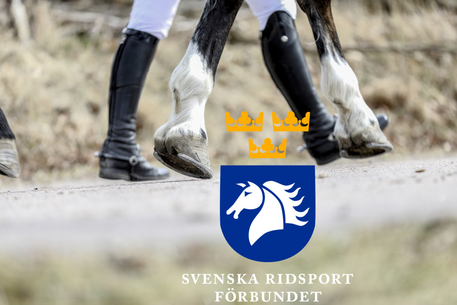 Sandra Ruuda pressas: Finns beslutsunderlagen – eller vilseleddes tittarna i SVT?