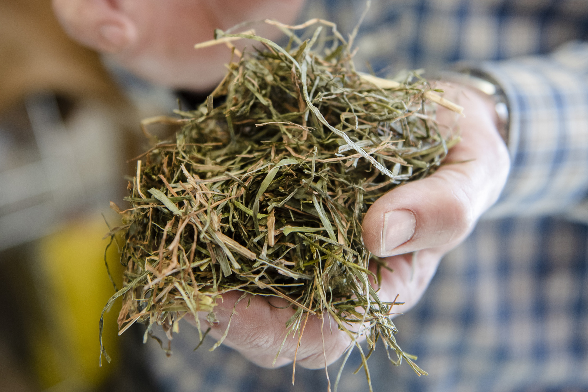Vi Talar Med H&ouml;bonden Nils S&ouml;derbergH&ouml; Foder Sk&ouml;rd