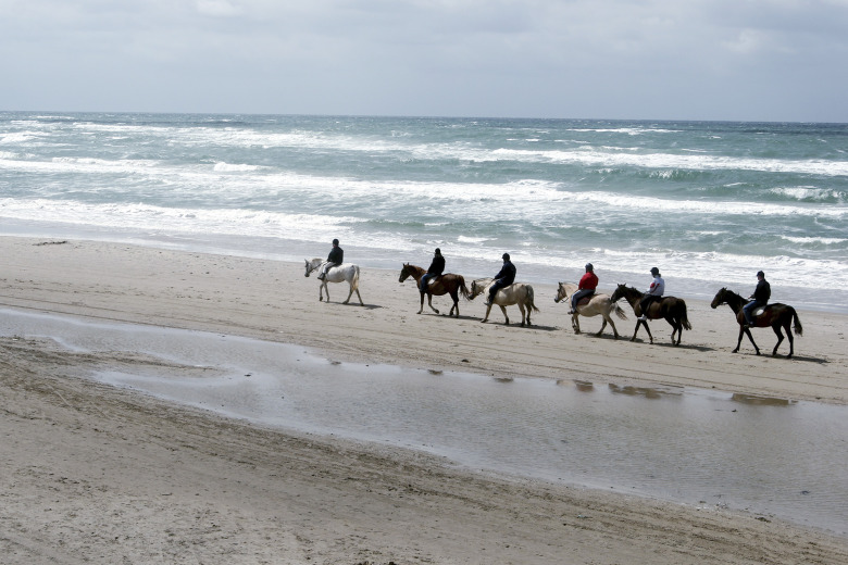 Hästnäringen 2040 – en framtidsspaning