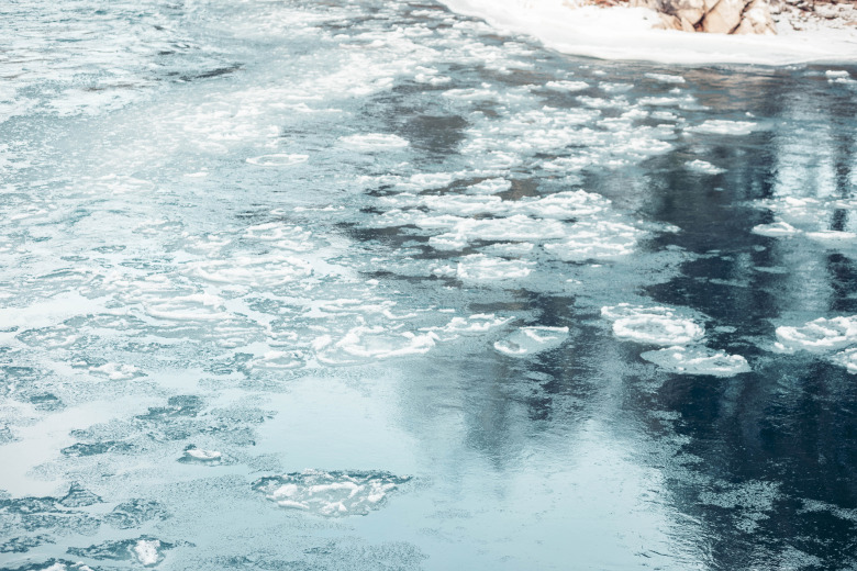 Häst räddad ur vattendrag