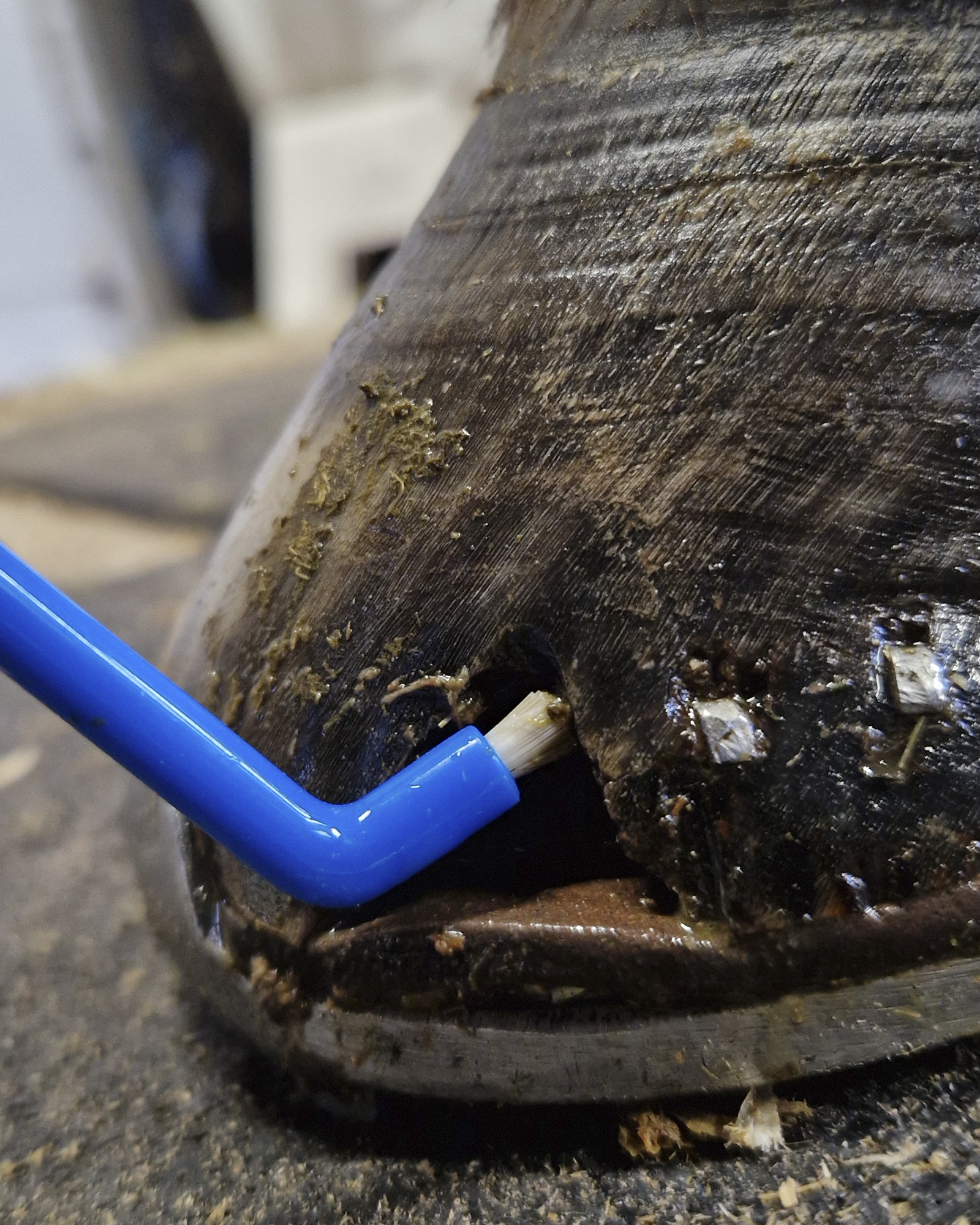 Foto: Bea Hovslagare