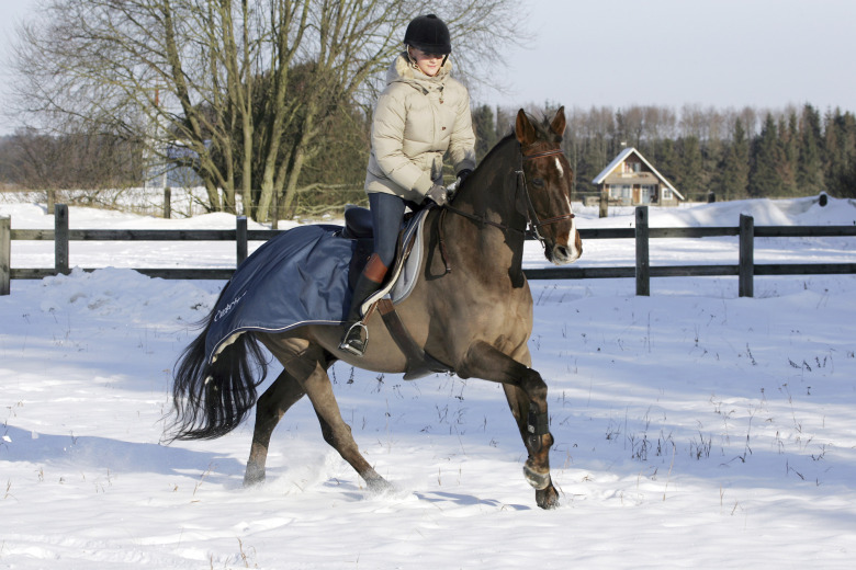 Kajsa Boström: ”Soppa på en spik (och en ridskolehäst)”