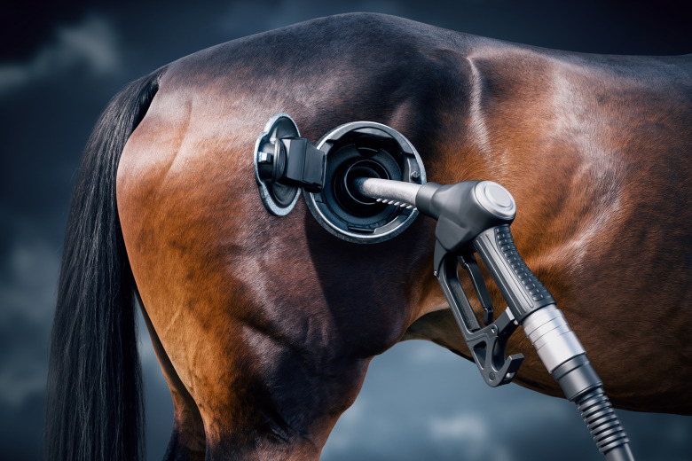 Fyll på med rätt energi