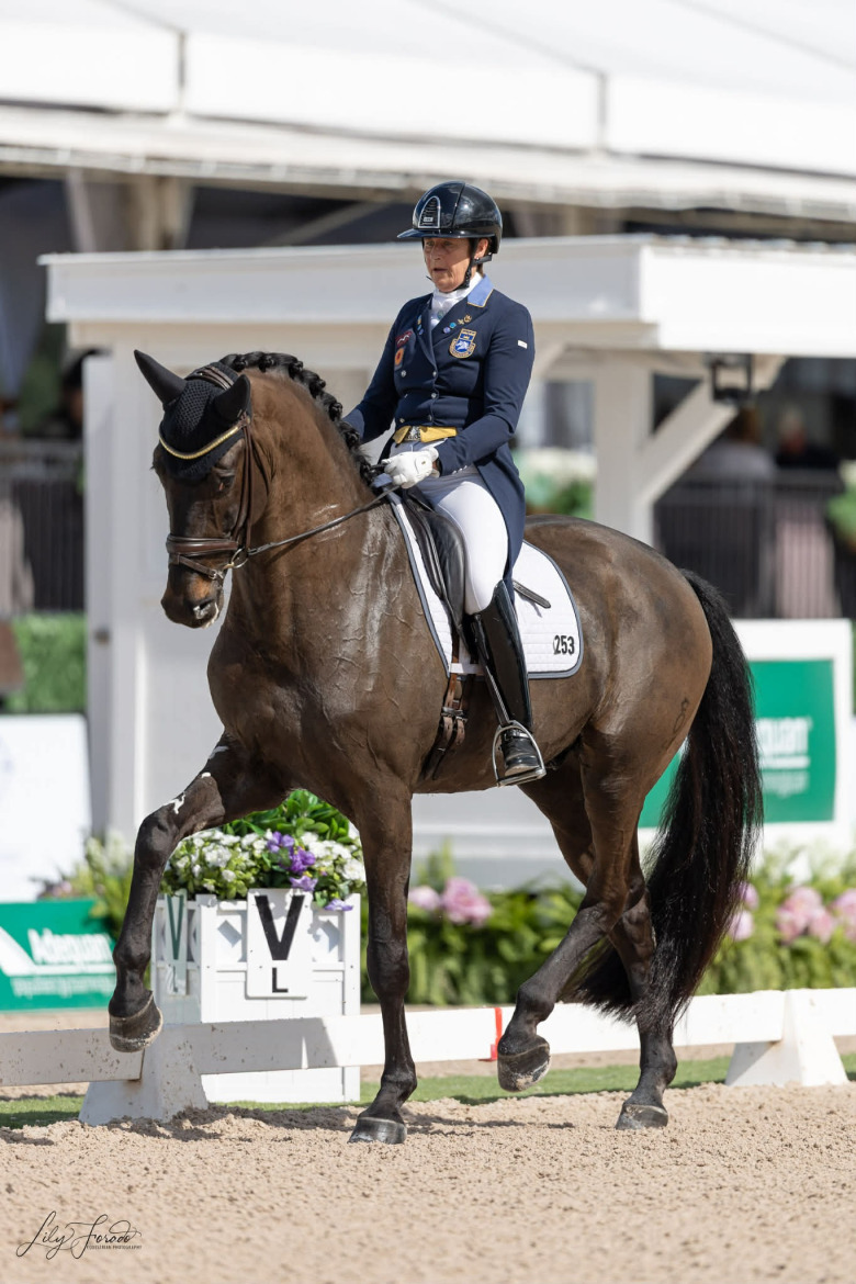 Ny pallplats för Darcourt – debut för Vilhelmson Silfvén