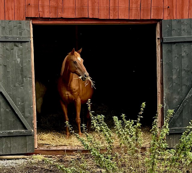 ”Amanda du är allt”