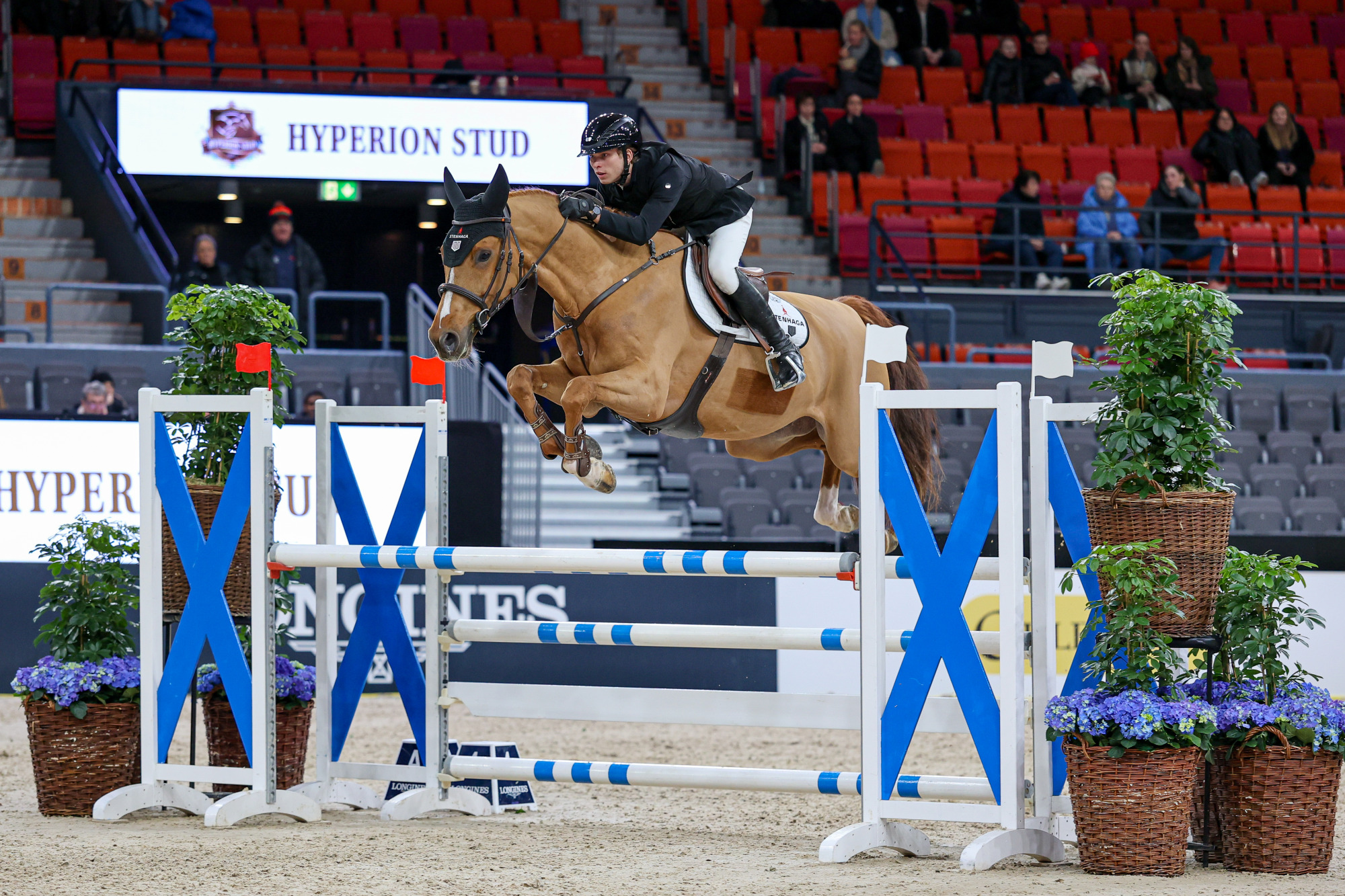 Gothenburg Horse Show 2026
Klass N4 - Swedish Warmblood Trophy