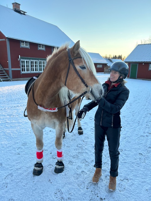 ”Endast hästägaren är vaken”