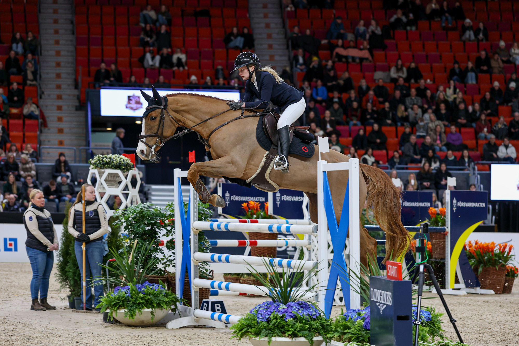 Gothenburg Horse Show 2026 Klass N4 - Swedish Warmblood Trophy
