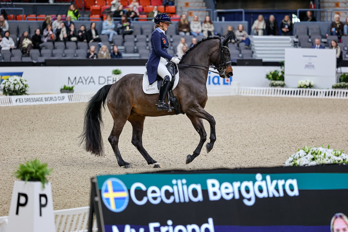 Cecilia Bergåkra - My Friend Fj-5842
