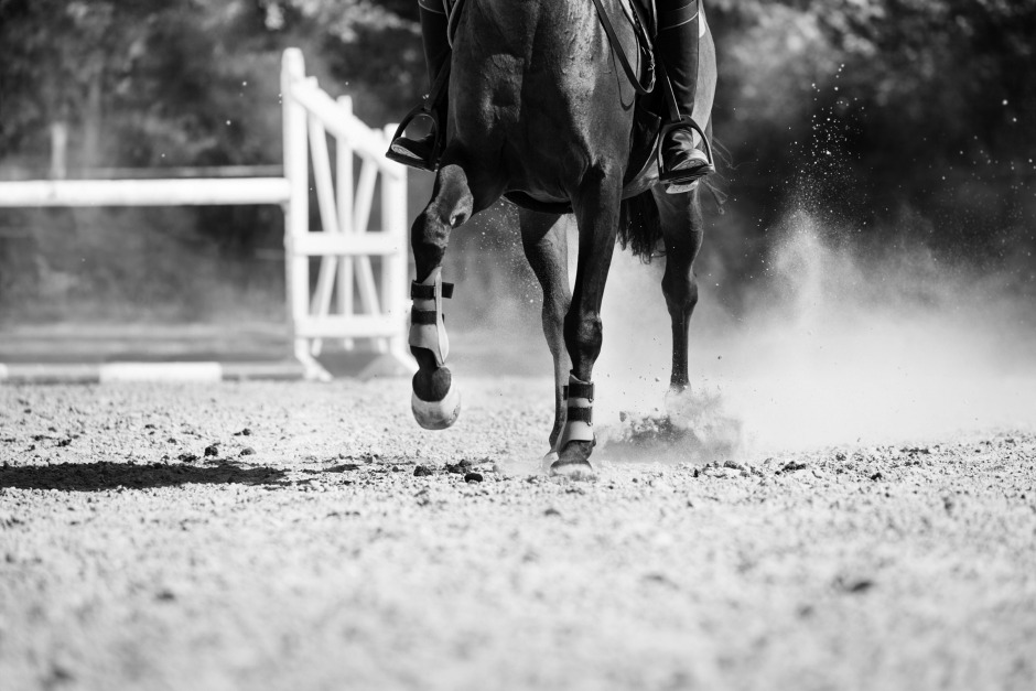 Tar med tekniken till stallet – Horse Tech Summit vill samla hästnäringens entreprenörer