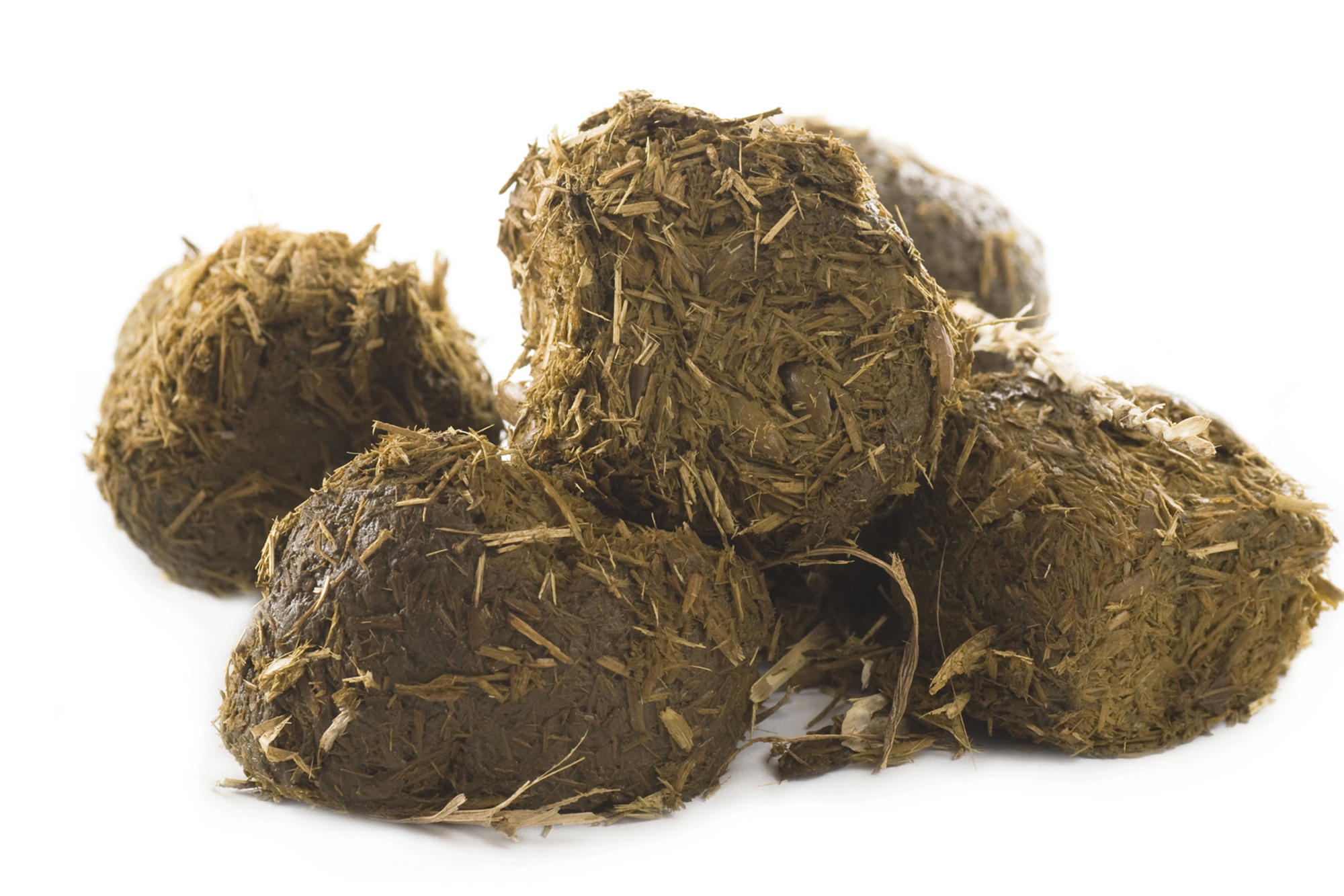 Pile Of Hay Filled Horse Poop On A White Background