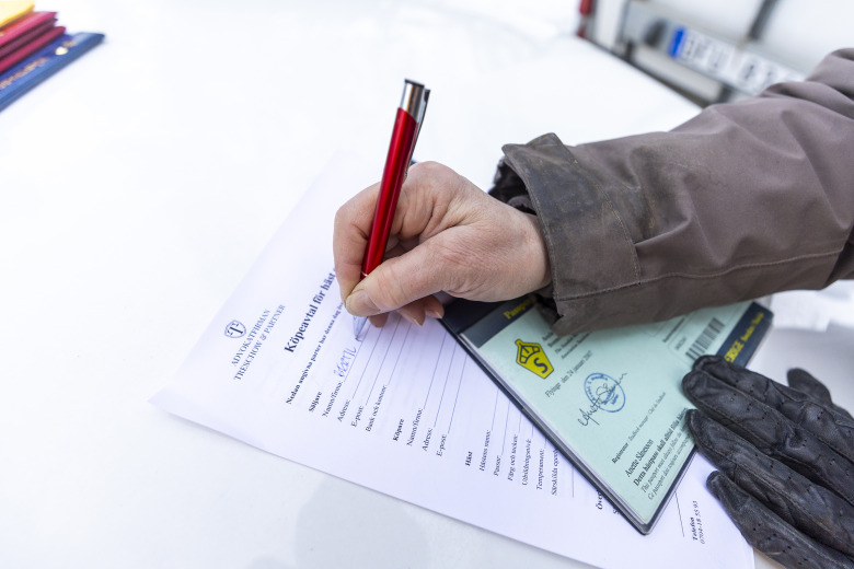 Se upp med juridiken vid hästförmedling