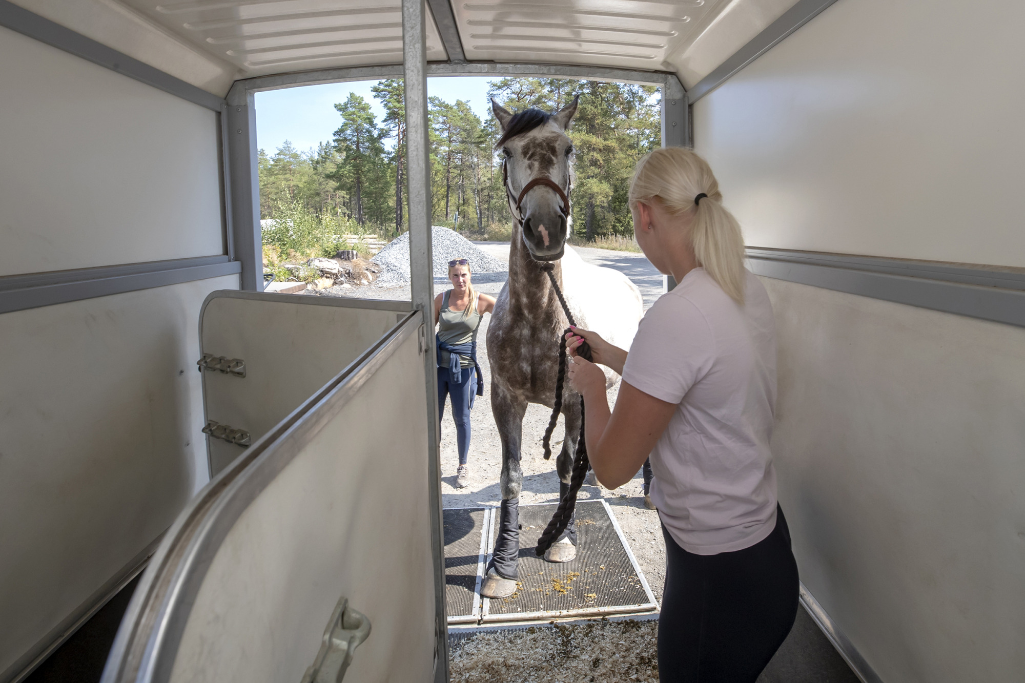 Equestrian Sport