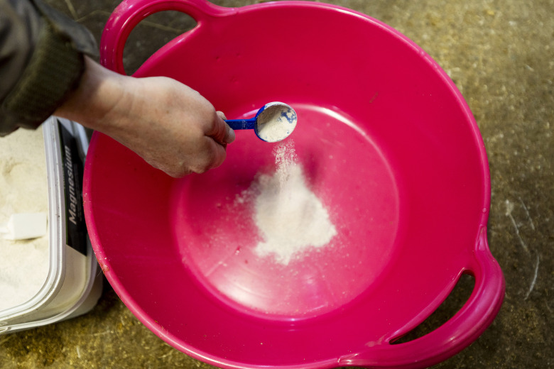 Magnesiumhypen: vad säger forskningen – och foderexperten