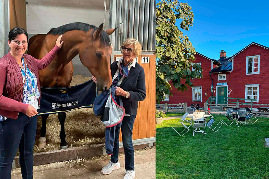 50 år på ridsportens mötesplats