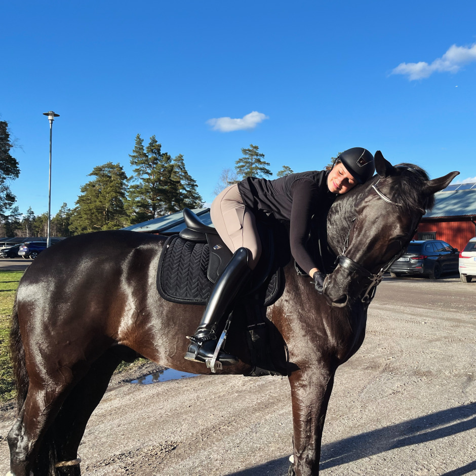 Sebbe – hästen som bar mig genom livet