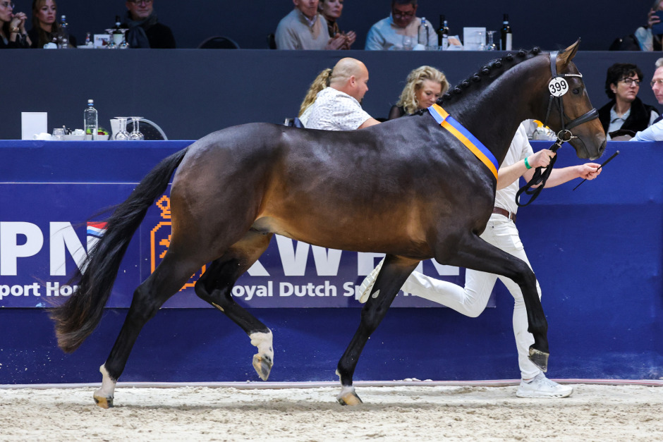 Rekordpris för Weihegolds 3-åriga dotterson