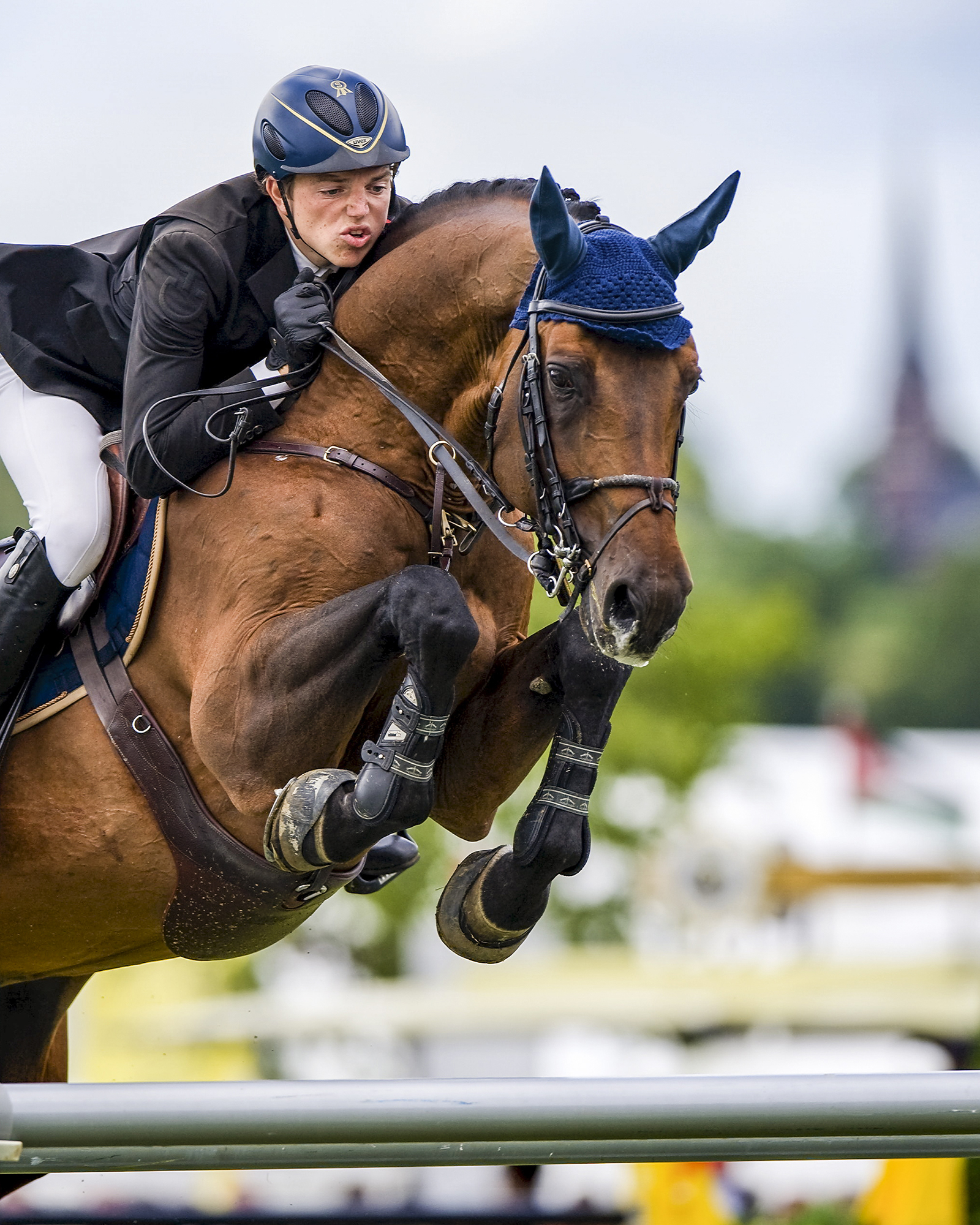 Chacco-blue Och Andreas Kreuzer
P: 2016-23