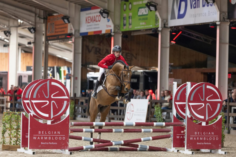 Svenskägd segerhingst i BWP: ”Man får nypa sig i armen”