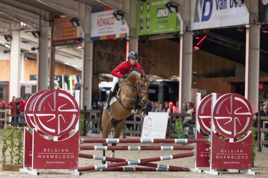 Svenskägd segerhingst i BWP: ”Man får nypa sig i armen”