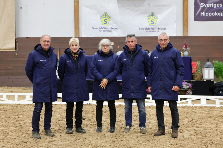 Domarna summerar: ”Vi dömer hingstarnas bästa stunder”