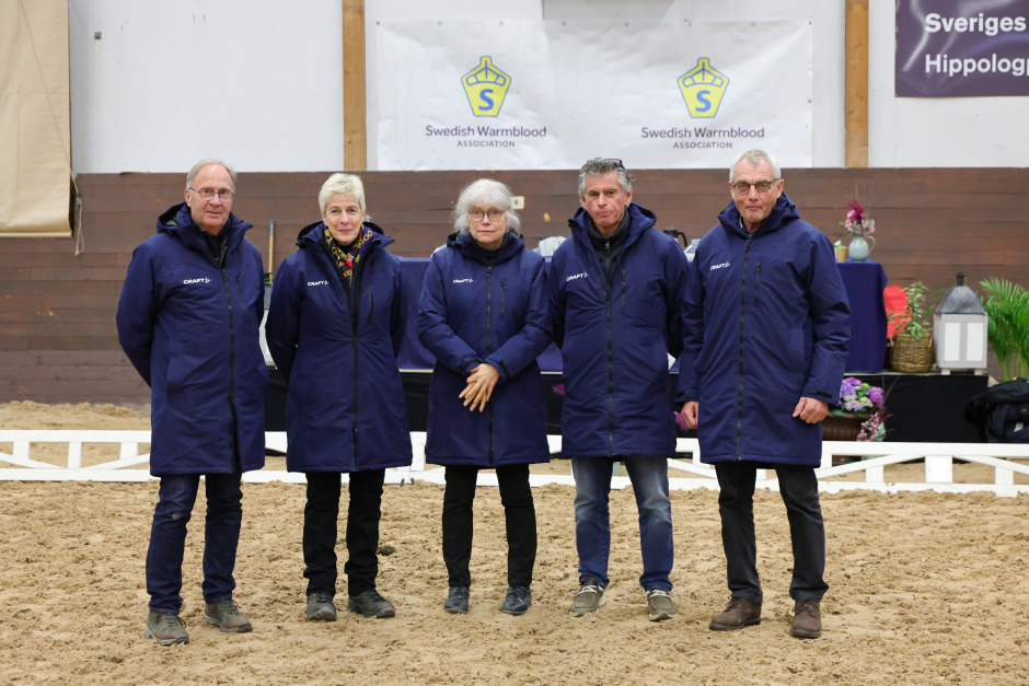 Domarna summerar: ”Vi dömer hingstarnas bästa stunder”