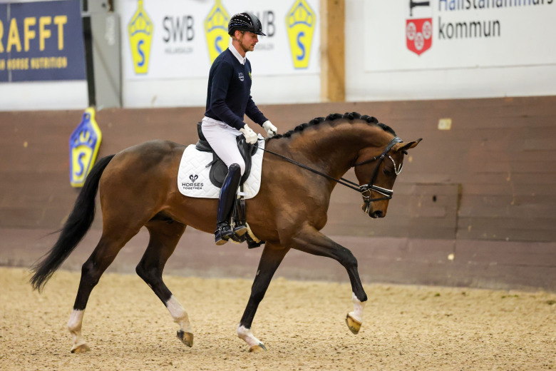 Så gick testridningen av dressyrhingstarna