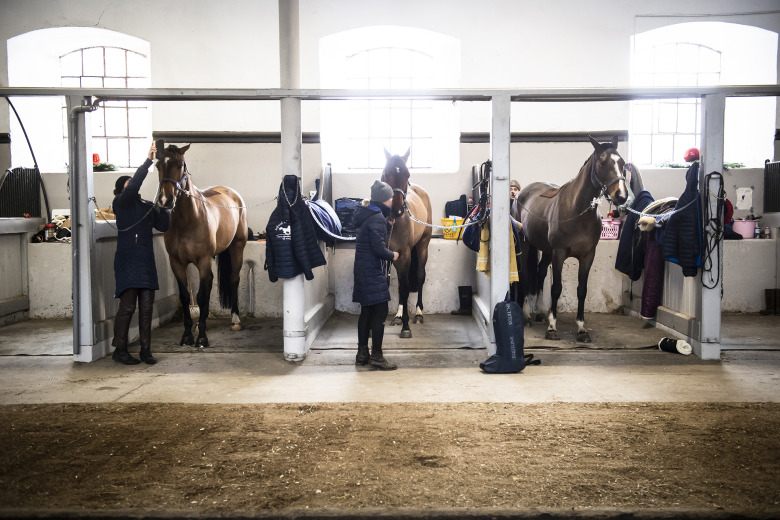 Björn Svensson: ”Superhybriderna kan föra ridsporten framåt”