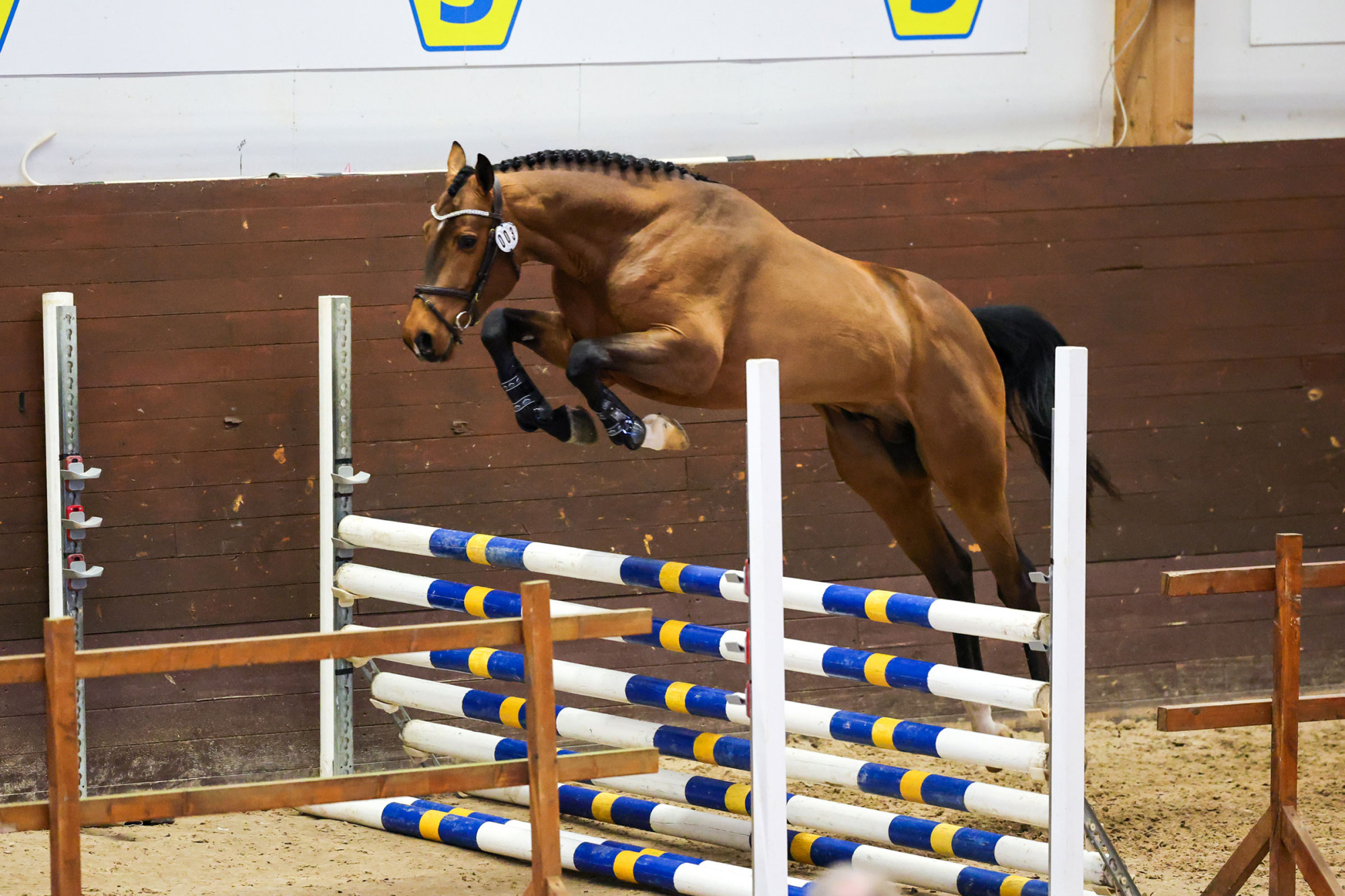 Chacco's-reflex-jt-z-6859