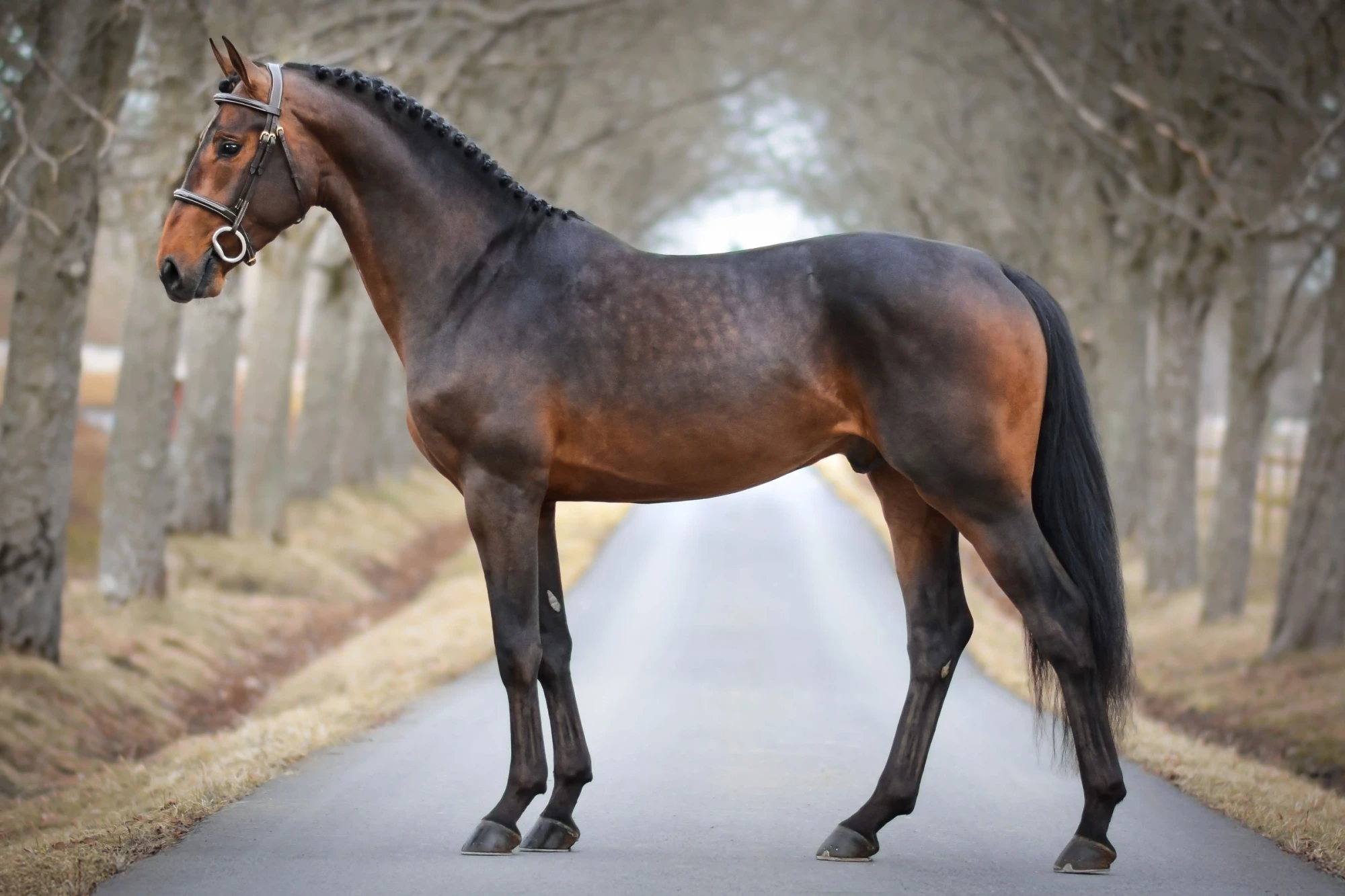 De Oratore Foto Angelica Pettersson