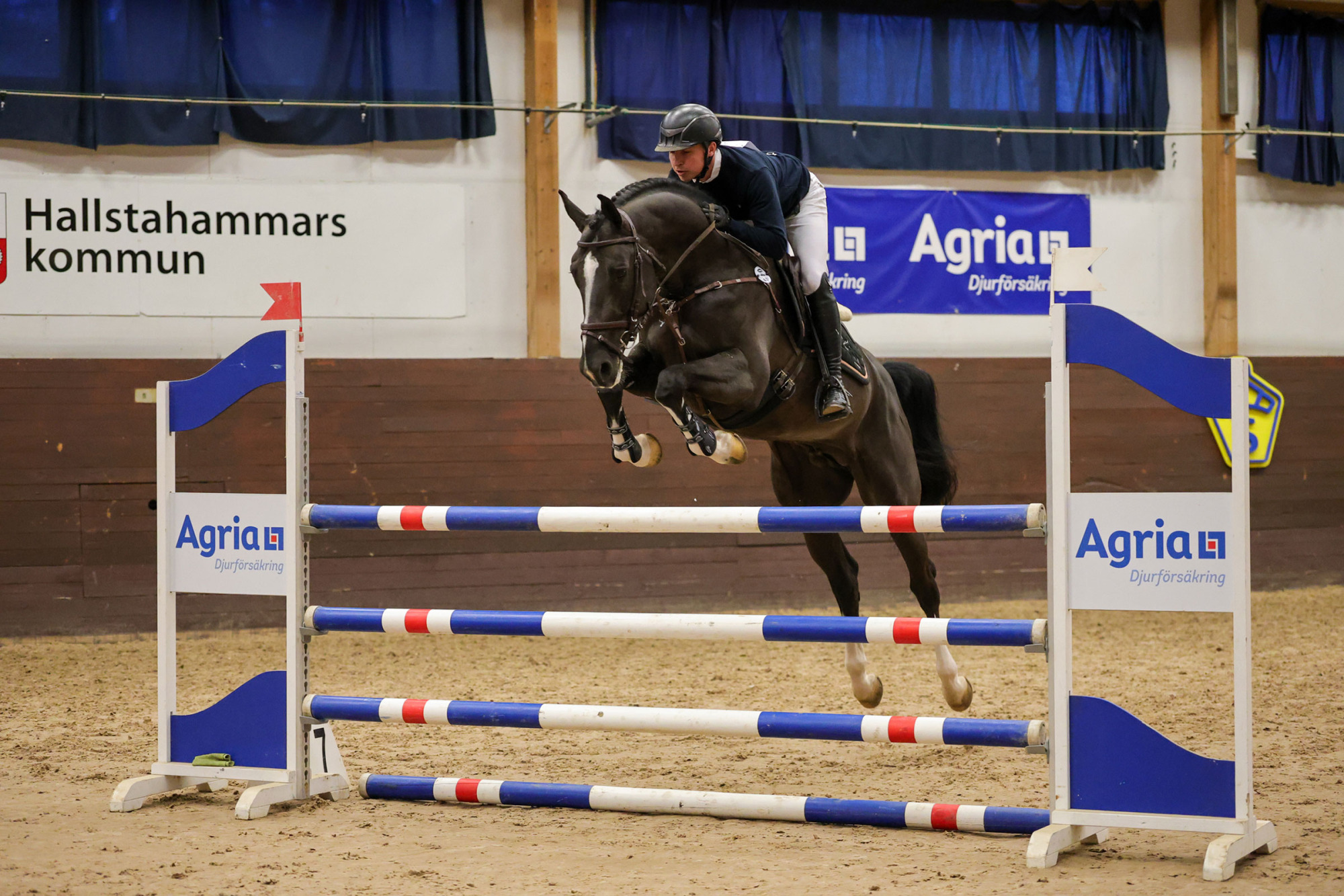 Dominant-btb-brian-morrison-0911