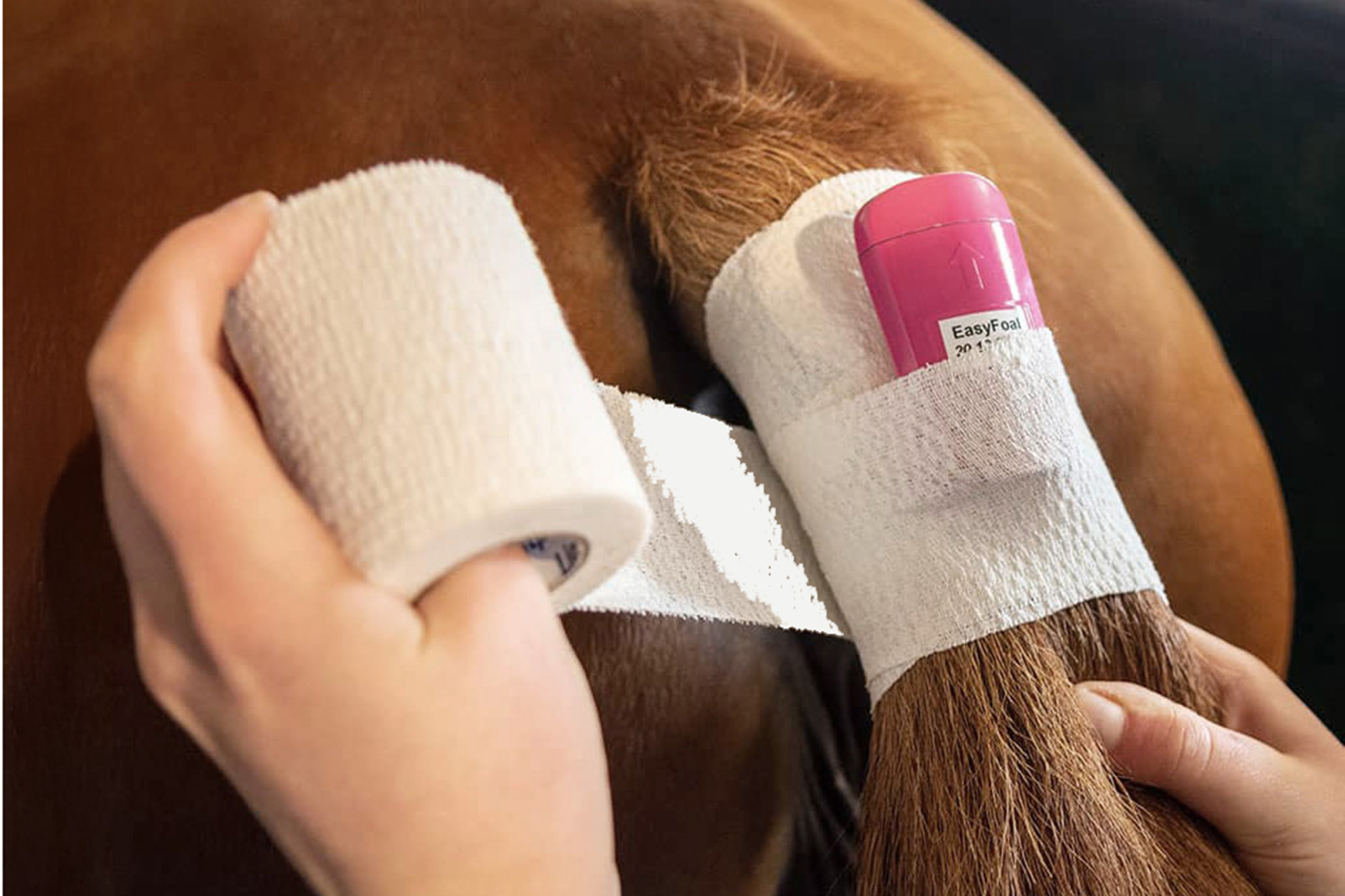 Easyfoal-indoor-kit_media-4