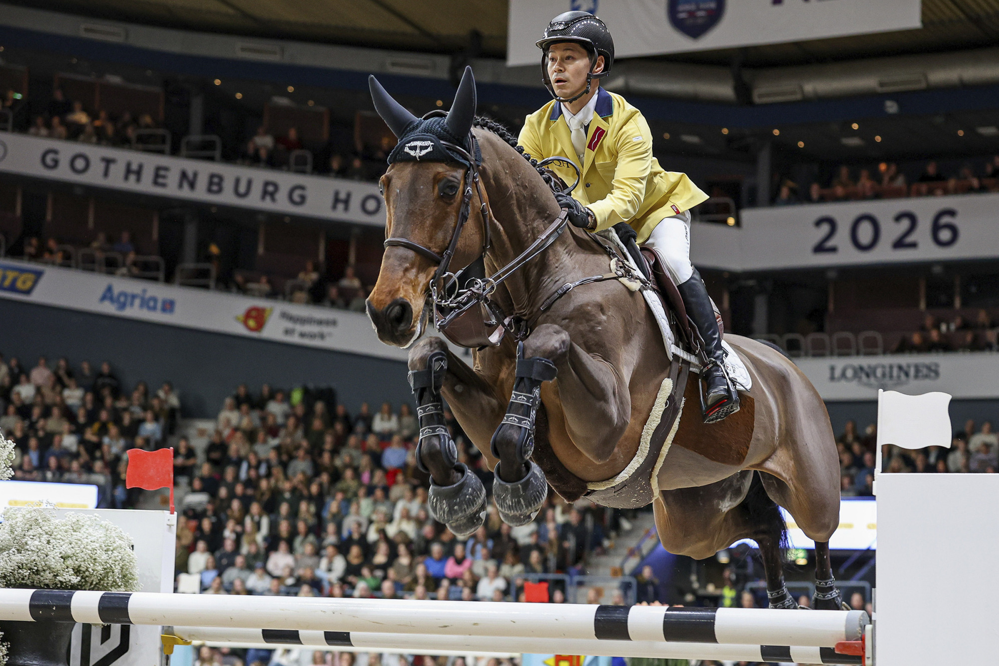 Eiken Sato - Chadellano Jra Fj-9045