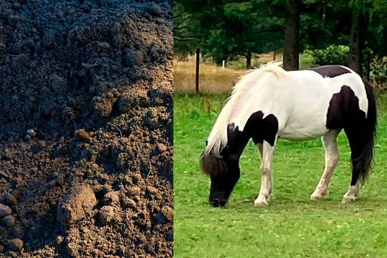 Hästen saknas efter skred – ägaren: ”Jag hörde henne men såg henne inte”