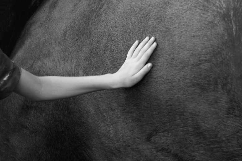 Hästföretagare kvar i häkte – nya misstankar om grova övergrepp mot barn