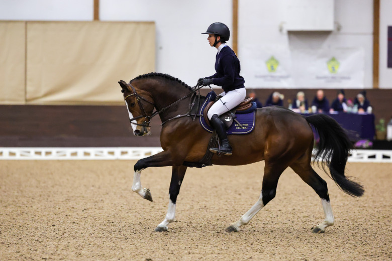 Här är hingstarna som är anmälda till fas II