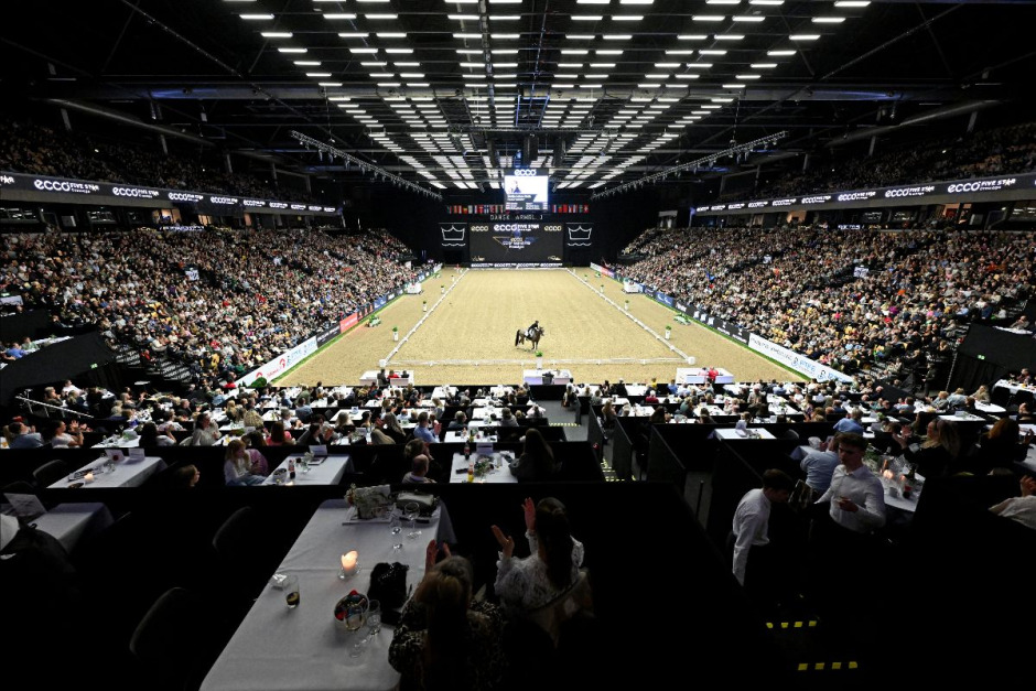 Herning laddar för 46:e hingstpremieringen