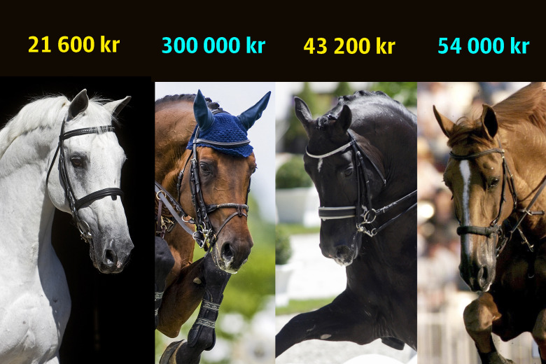 Dyra droppar för drömfölet